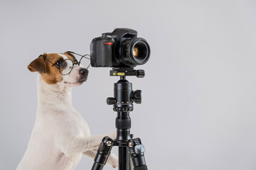 Dog jack russell terrier with glasses takes pictures on a camera on a tripod on a white background