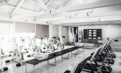 Stationary Bikes Inside a Fitnes Center - black and white 3D Visualization