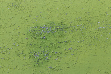 Old wooden surface with scaly paint as an abstract background. Green paint on plywood. Texture.