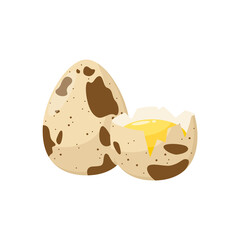 Quail eggs on a white background. Farm food. Cartoon style.