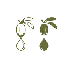 Shea nut with oil drop green icon. vitellaria beauty and cosmetics oil.