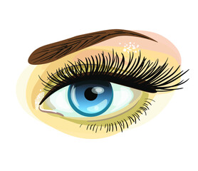 realistic eye isolated on the white background, vector illustration