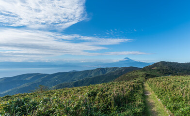 伊豆半島の遊歩道（伊豆山稜線歩道、達磨山周辺）から見える富士山