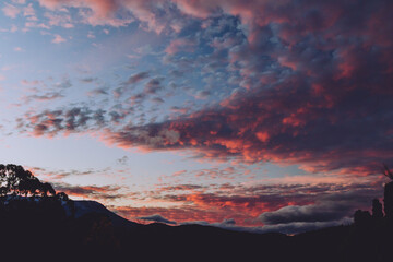 majestic pink sunset over the mountains with eucalyptus gum trees silhouettes shot in Tasmania