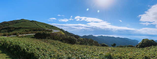 Fototapeta na wymiar 伊豆半島の遊歩道（伊豆山稜線歩道、達磨山周辺）からの眺望
