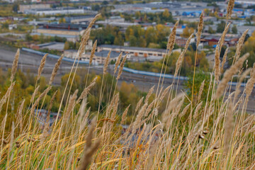 Photo of the city top view. A small provincial town in Siberia. Autumn urban landscape.