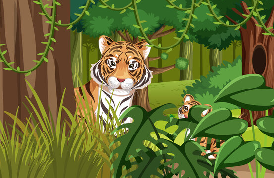 Tiger hidden in the jungle