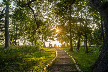 夕日に続く道 (日本 - 北海道 - 国設知床野営場)
