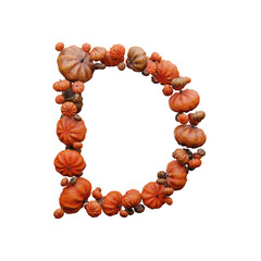 Fall Pumpkin 3D Font Halloween Celebration LEtter D
