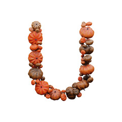 Fall Pumpkin 3D Font Halloween Celebration Letter U