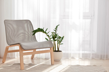 Comfortable chair and houseplant near light curtains in room