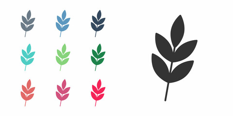 Black Leaf icon isolated on white background. Leaves sign. Fresh natural product symbol. Set icons colorful. Vector