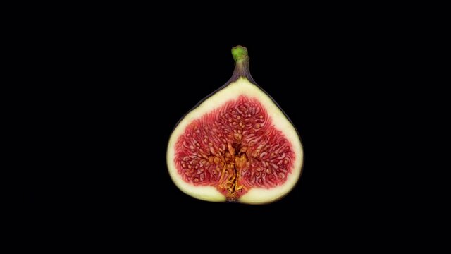Half a fig isolated on black background, rotate. 4K UHD video 