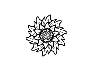 flower hand drawing line art design