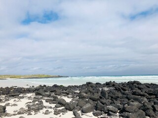 Tortuga Bay beach in Galapagos Islands, Isla Santa Cruz（トルトゥーガベイ, ガラパゴス諸島, サンタクルス島）
