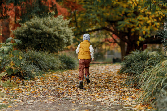 Little happy boy walks in the autumn park. Bright autumn colors.