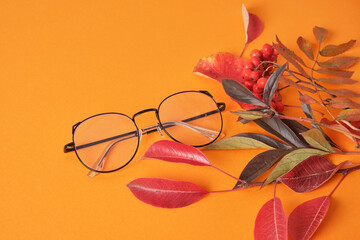 several different trendy fashion eye glasses nad red autumn leaves on orange background copy space top view