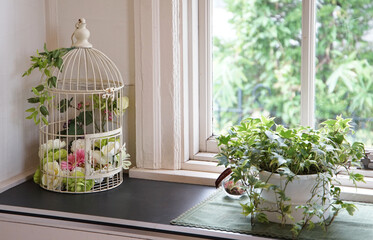 flowers on the windowsill