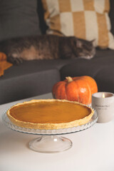 Pumpkin pie with Pumpkin and Concrete candlestick on table in living room next to sofa with gray cat among pillows and blanket. Autumn comfort hyggelig at home. Background with copy space.