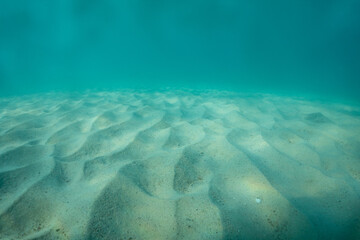 underwater ripple pattern white sand, beneath the waves