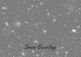Vector snowfall isolated. Winter background. Snow overlay illustration. Snowflakes and ice.
