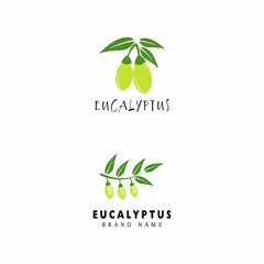 Eucalyptus leaves logo vector template design illustration
