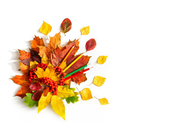 Autumn leaves and colored pencils, soon to school, autumn bouquet of tree leaves