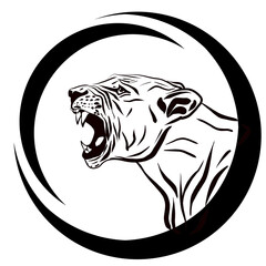 A lion with a bared mouth. The king of the jungle. A relative of the tiger, panther, leopard, cougar, cheetah and domestic cat