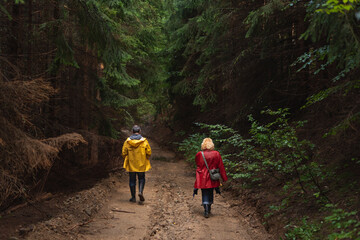 Obraz premium Middle age couple in raincoats walking through forest