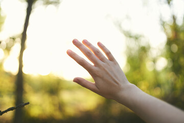 female hand nature sun summer green leaves