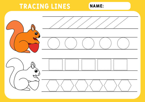 Trace line worksheet for kids. Basic writing. Working pages for children. Funny little squirrel. Preschool or kindergarten worksheet. Trace the pattern. Illustration and vector outline - A4 paper