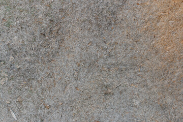 Background. Empty background from old gray plywood from sawdust. Texture. Wallpaper.