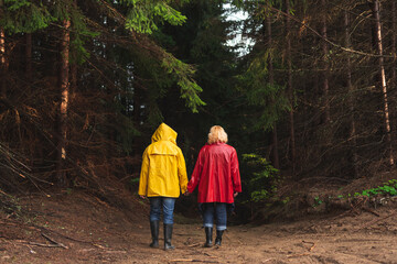 Fototapeta premium Middle age couple in raincoats walking through forest