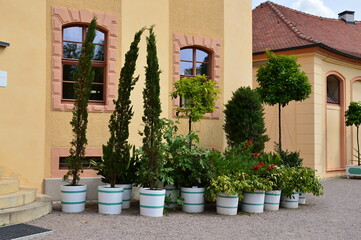 Fototapeta na wymiar Orangerie im Schlosspark Belvedere, Weimar, Thüringen