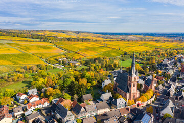 Bird's eye view of Kiedrich / Germany in the Rheingau with golden colored vineyards in the background  - obrazy, fototapety, plakaty
