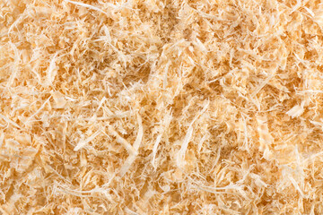 Sawdust or wood dust texture background. Wood sawdust background closeup.