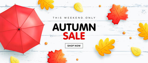 Autumn sale horizontal banner template with realistic umbrella and autumn leaves on white wooden background. Vector illustration