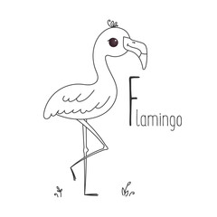 Alphabet letter animals children illustration flamingo bird sketch