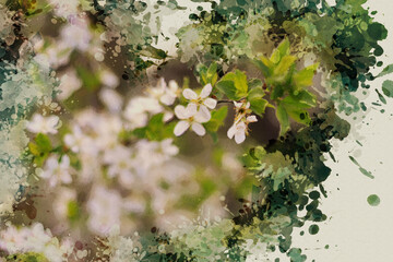 Wild Plum Blossom. Thin tree branches with delicate white petals. Springtime. Multicolored splashes and drops of paint. Digital watercolor painting.