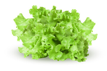 Lettuce leaves on isolated white background
