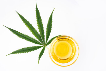 Bowl with hemp oil, leaf on white background, top view