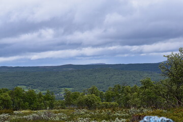 Fototapeta na wymiar Swedish mountain landscape