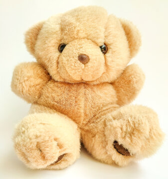 Cute teddy bear, on light background stock photo