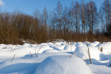 snow in winter frozen and cold, nature after snowfall