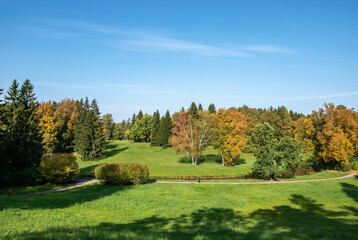 Fototapeta na wymiar Autumn in Pavlovsky Park