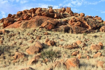 Fototapeta na wymiar red rock in the desert