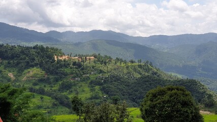 Obraz premium forest in the mountains, Green trees, Woods, Secenary, Hills, Hillstation