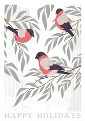 hand drawn winter illustration with bullfinch and texture background