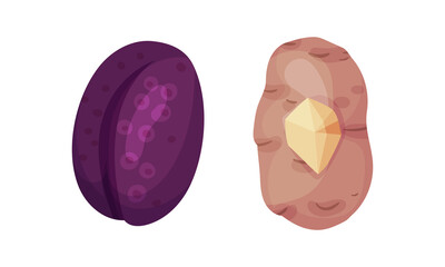 Number 0 Zero made of fresh plum and potato cartoon vector illustration