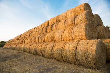 Hay bales stacked against the sky.	